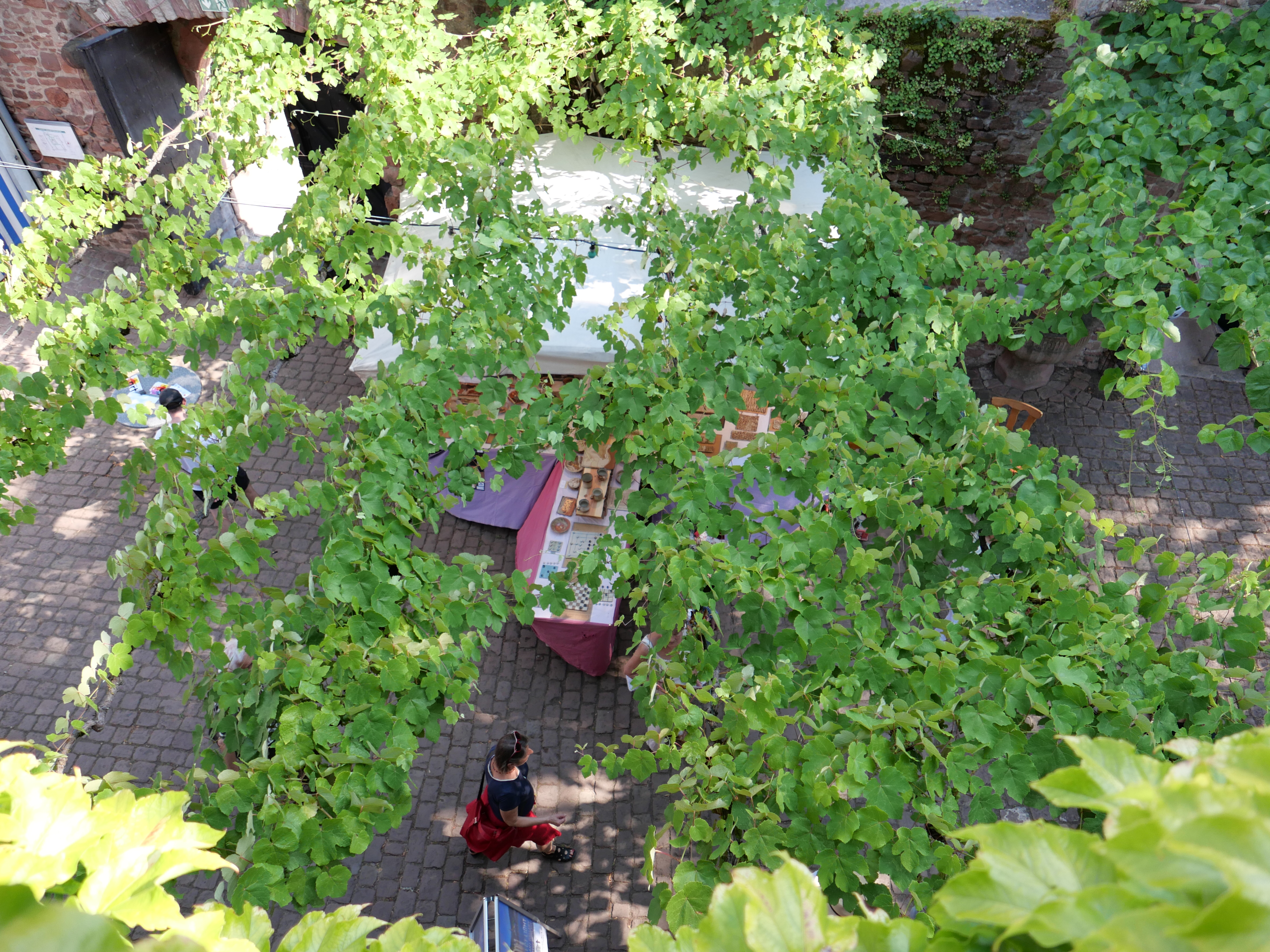 Foto 25.07.26 16 40 29